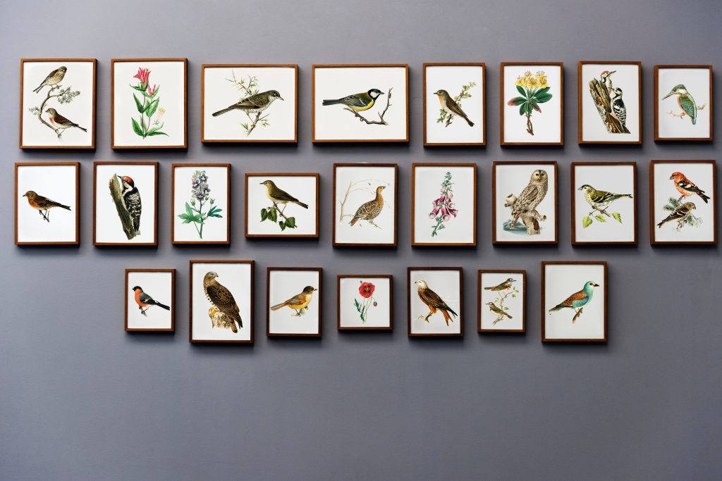 gallery wall 