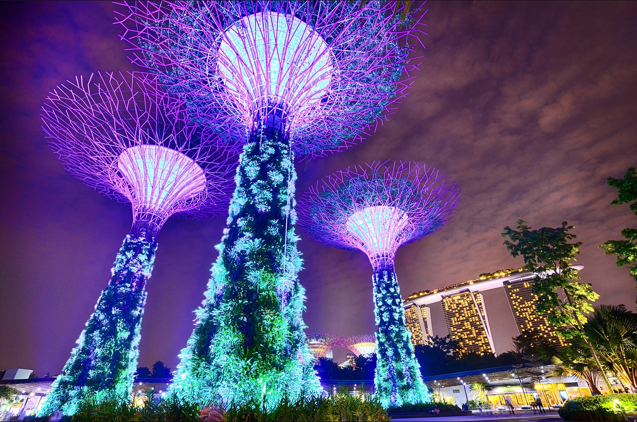 gardens by the bay singapur