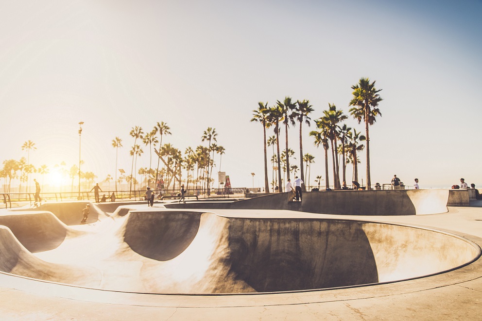 Skatepark palmy