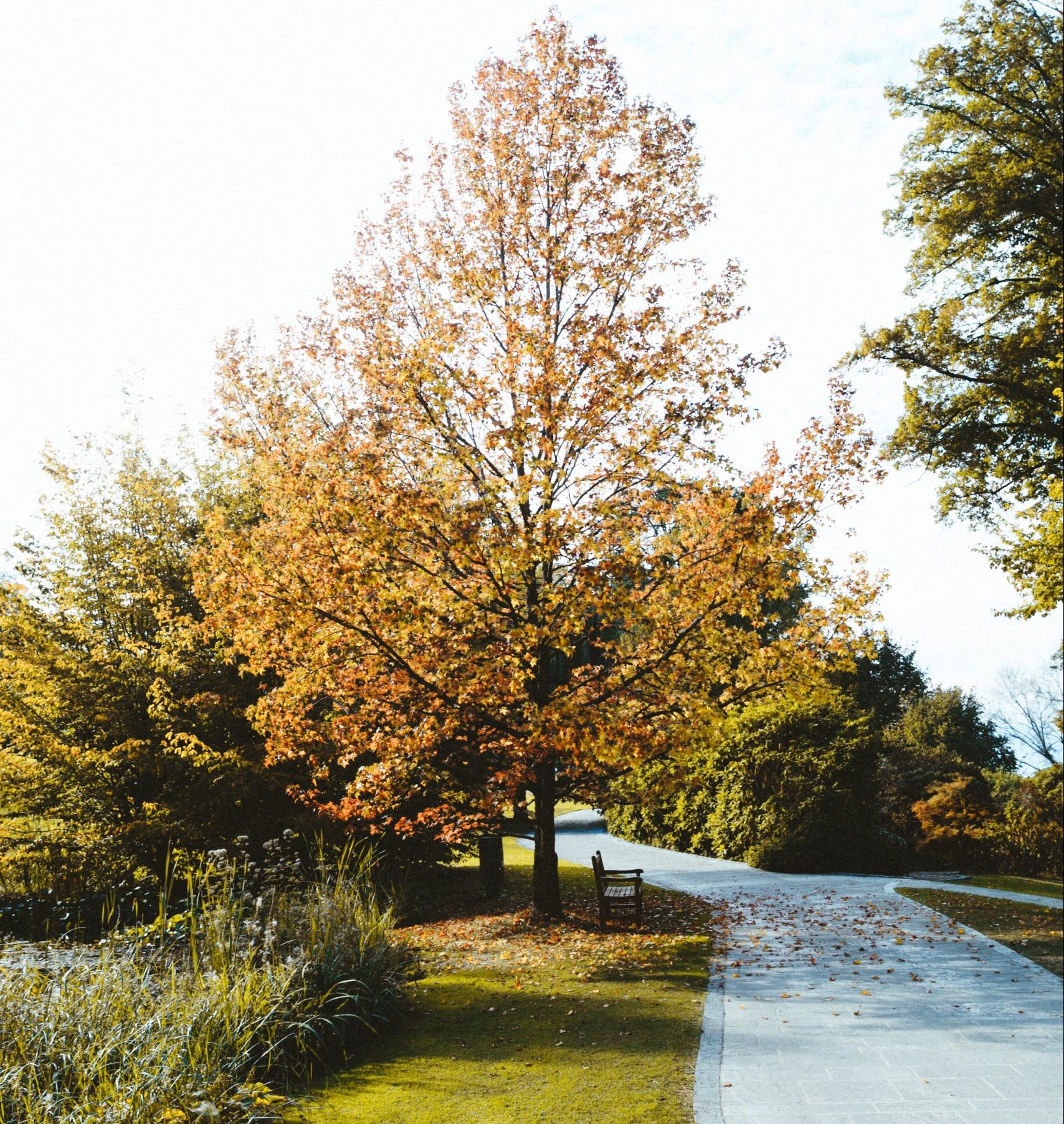 Park lavička
