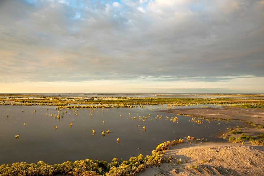 Markermeer Lake
