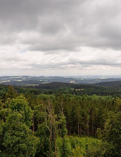Lipno