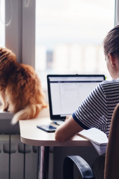 práca z domu homeoffice mačka